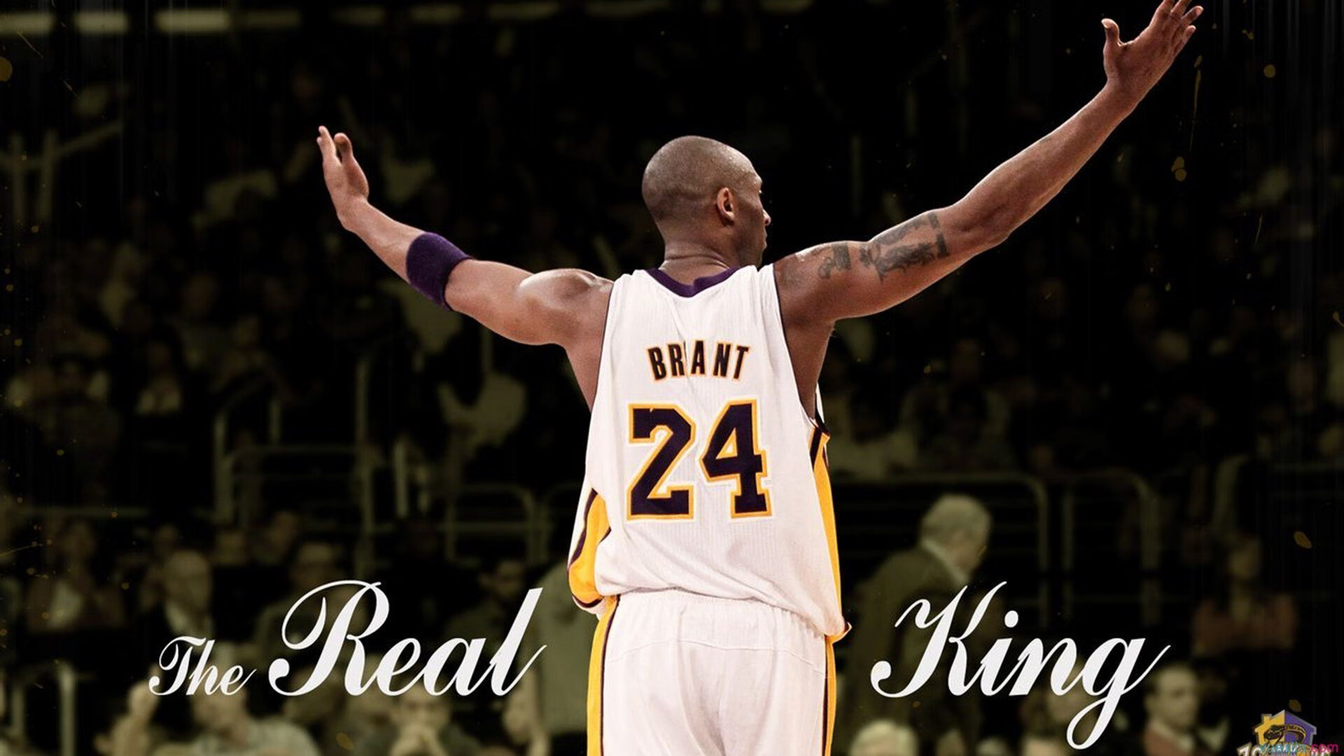 “亚戈·卡尔曼的精湛技术,成就阿根廷美洲狮队的攻守平衡”